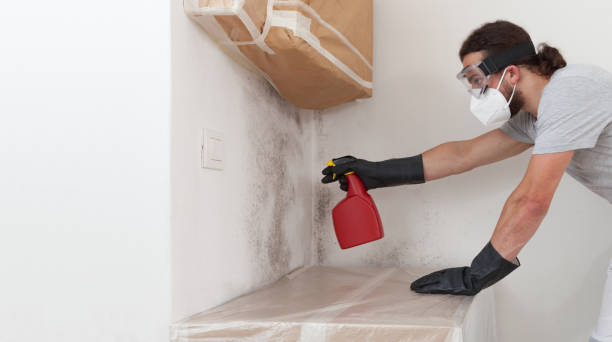 Professional Basement Mold Remediation technician working in Lawrenceville, GA